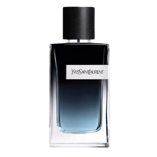 Y by Yves Saint Laurent
